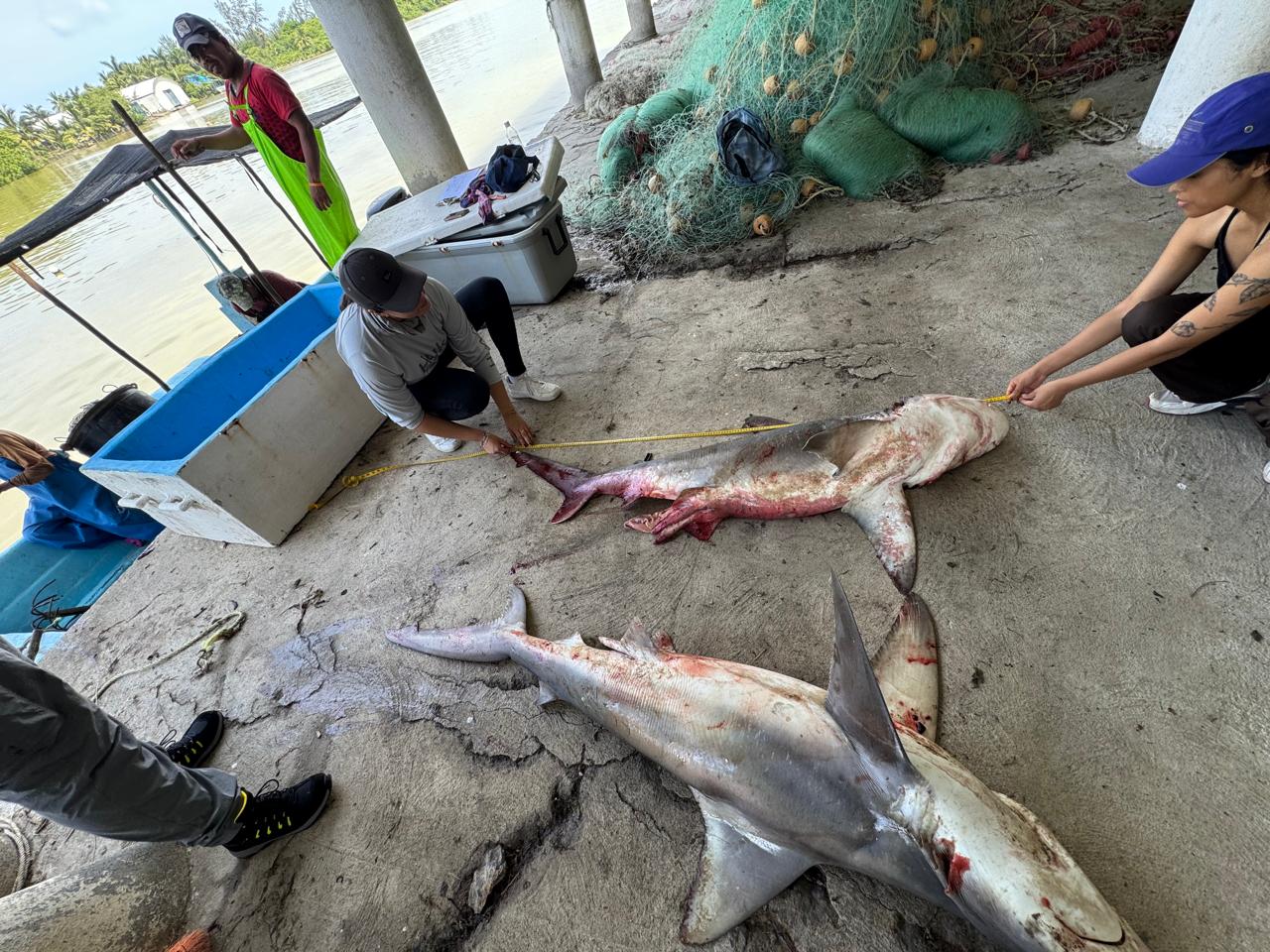 Exposición fotográfica